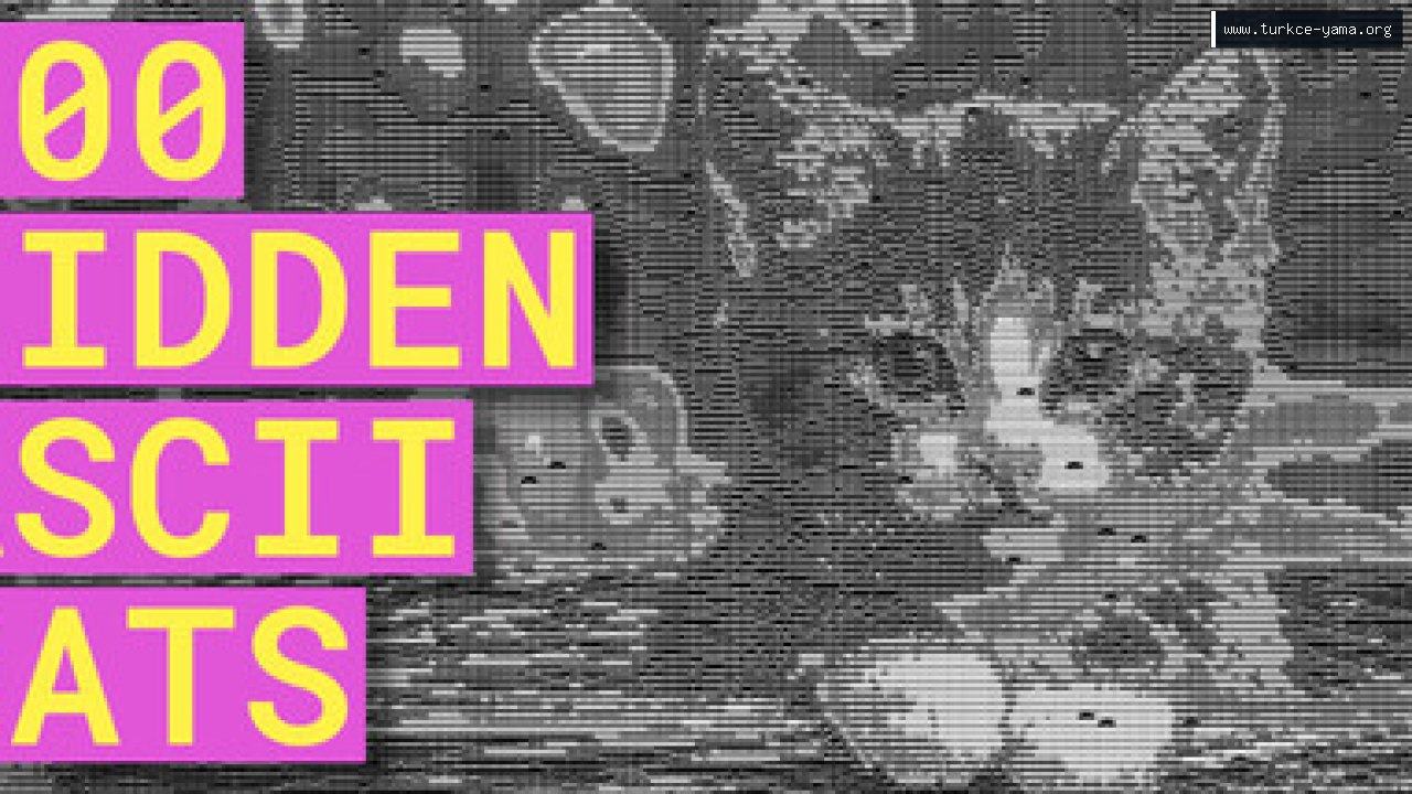100 Hidden ASCII Cats Türkçe Yama kapak görseli