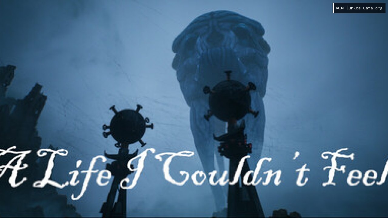 A Life I Couldn’t Feel Türkçe Yama kapak görseli