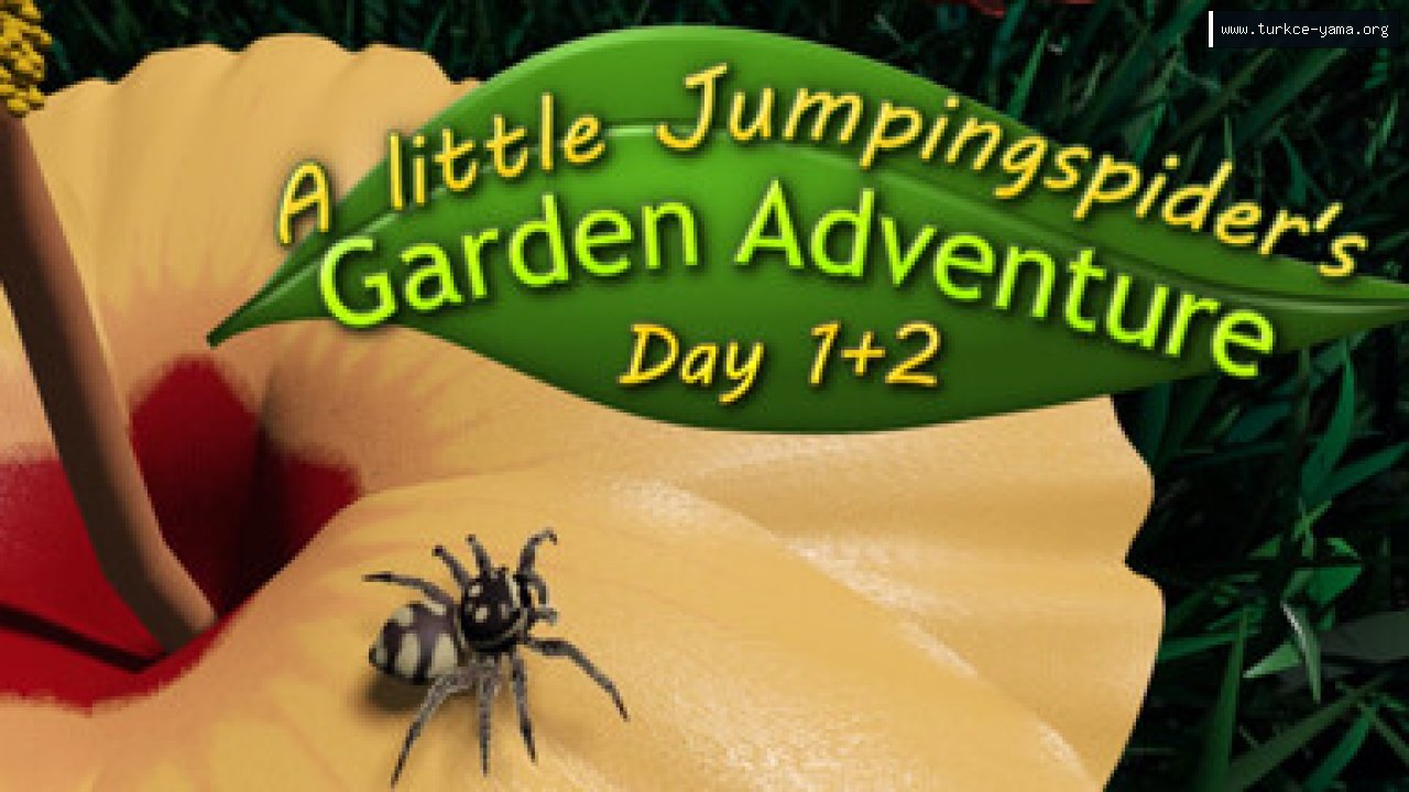 A little Jumpingspider's Garden Adventure (Day 1+2) Türkçe Yama kapak görseli