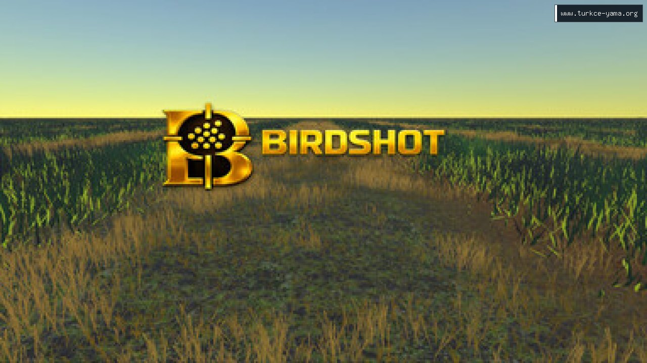 Birdshot Türkçe Yama kapak görseli