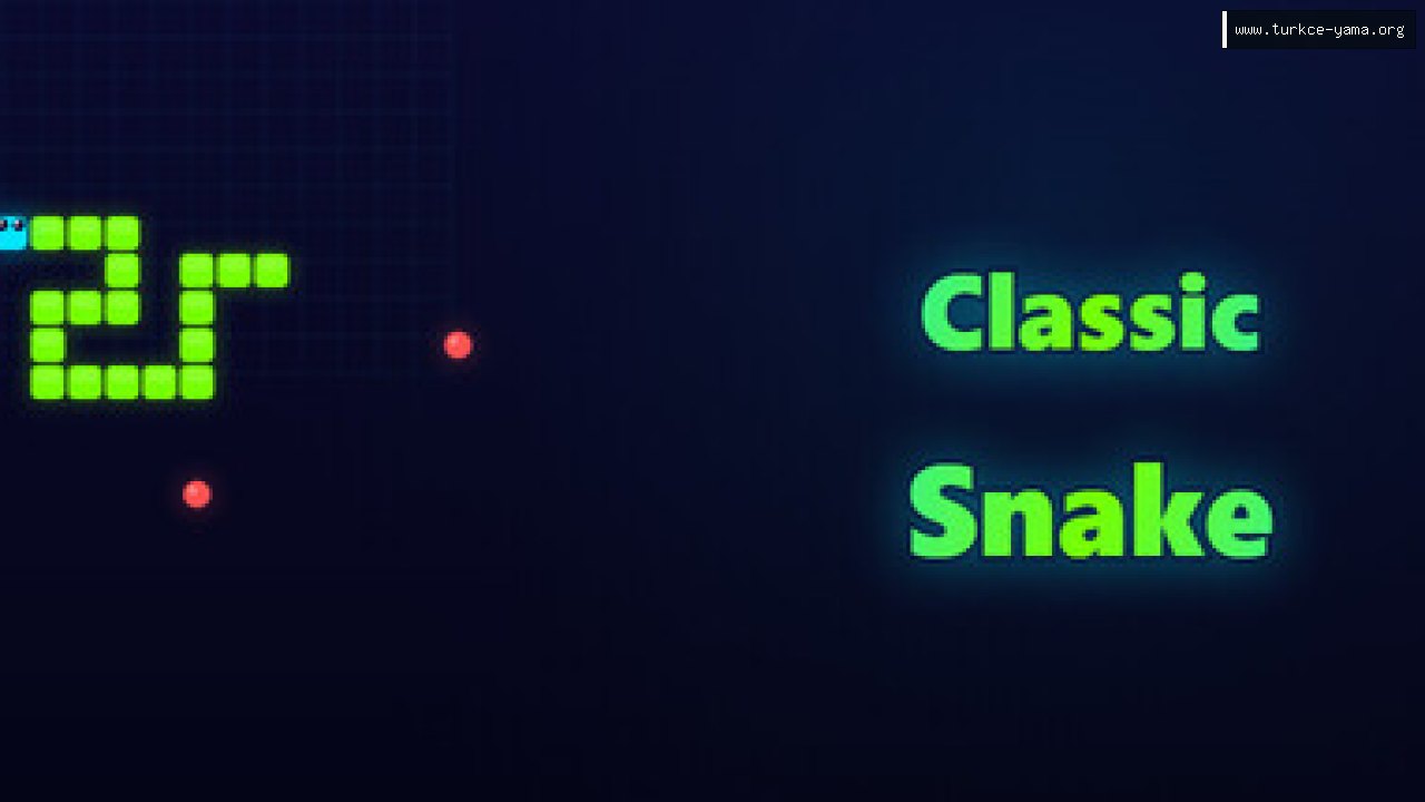 Classic: Snake Türkçe Yama kapak görseli