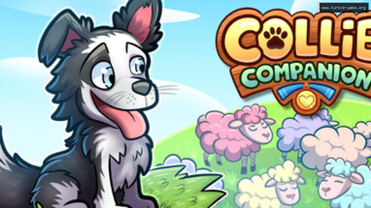 Collie Companion Türkçe Yama kapak görseli