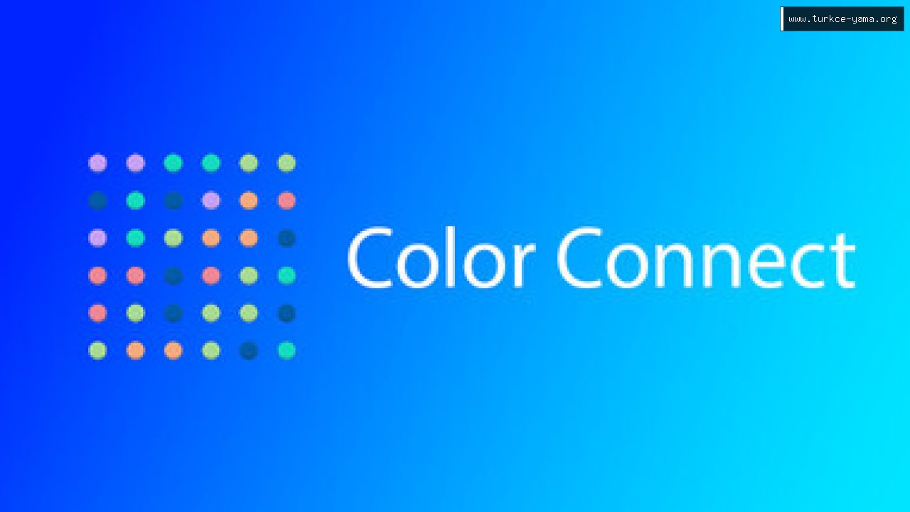 Color Connect Türkçe Yama kapak görseli