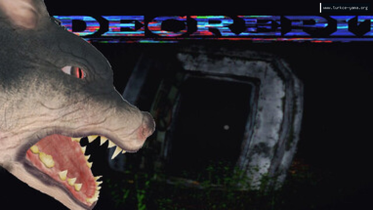 Decrepit Türkçe Yama kapak görseli