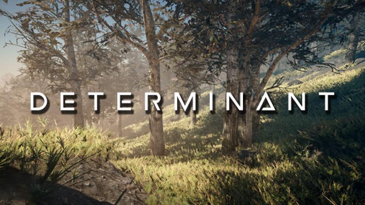 Determinant Türkçe Yama kapak görseli