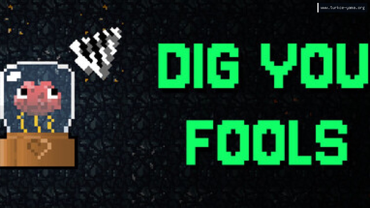 Dig You Fools Türkçe Yama kapak görseli