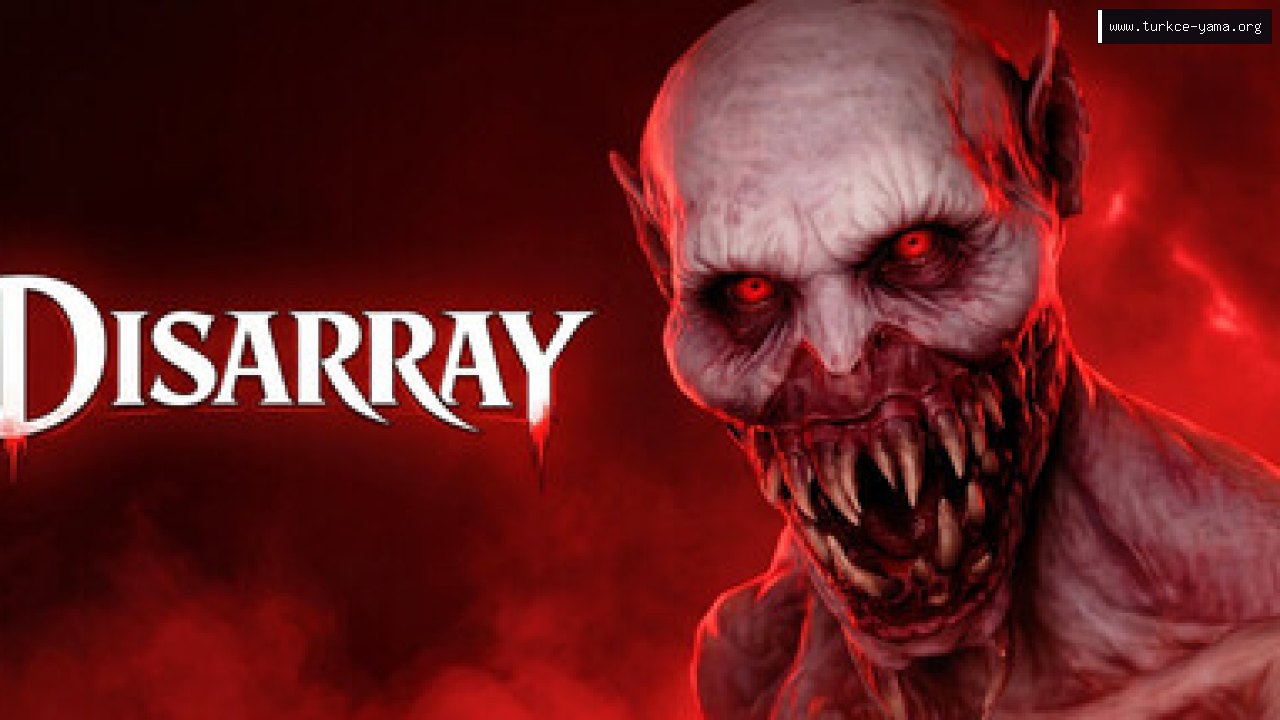 Disarray Türkçe Yama kapak görseli