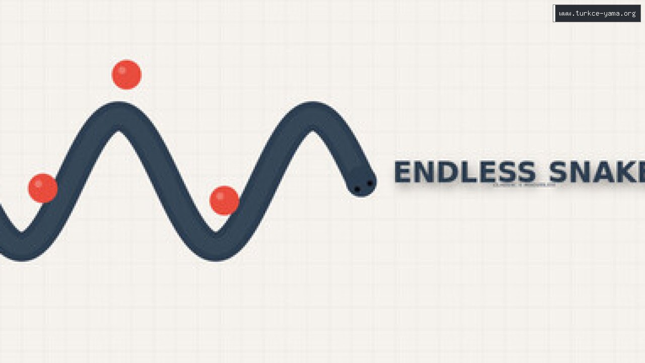 Endless Snake Türkçe Yama kapak görseli