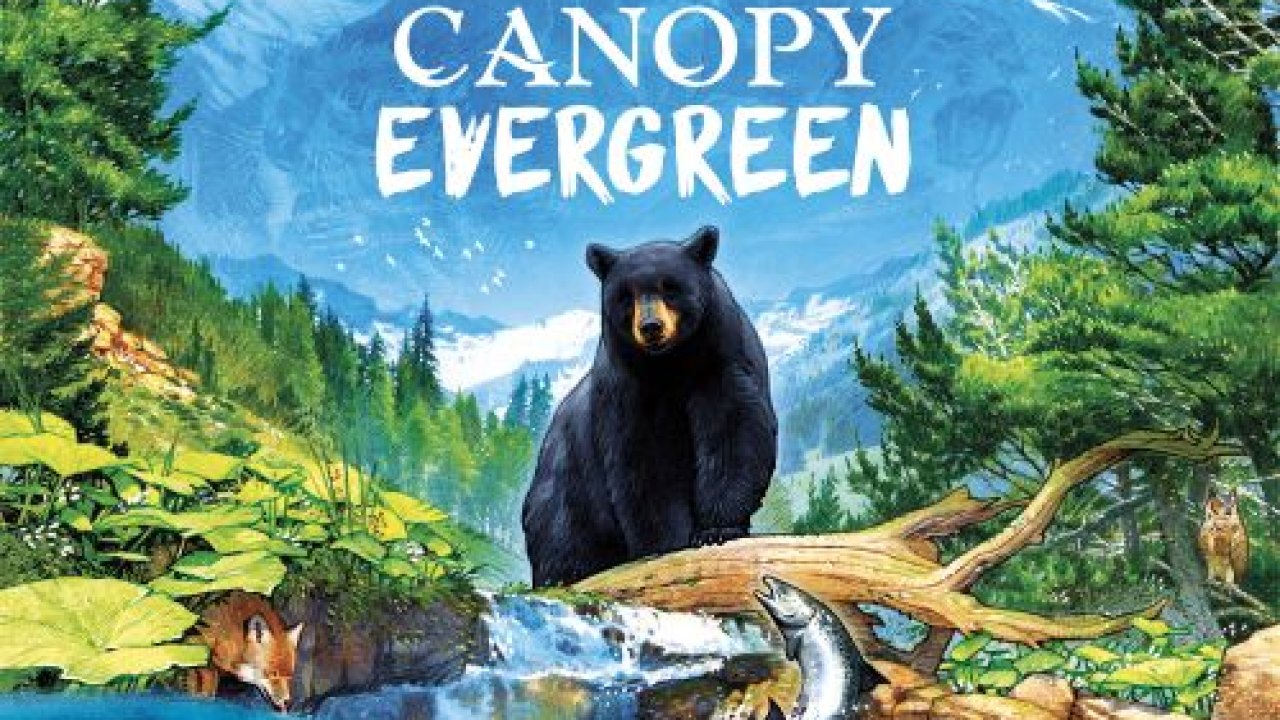 Evergreen - Mountain Life Simulator Türkçe Yama kapak görseli