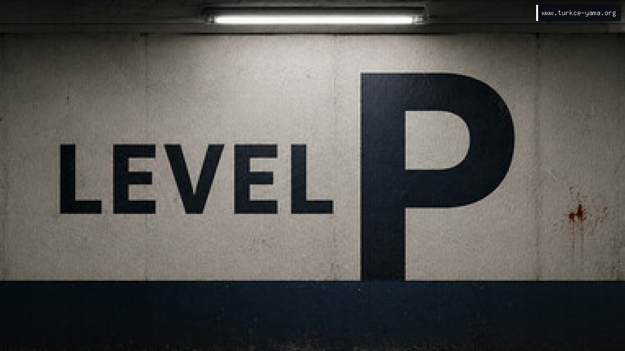 Level P Türkçe Yama kapak görseli