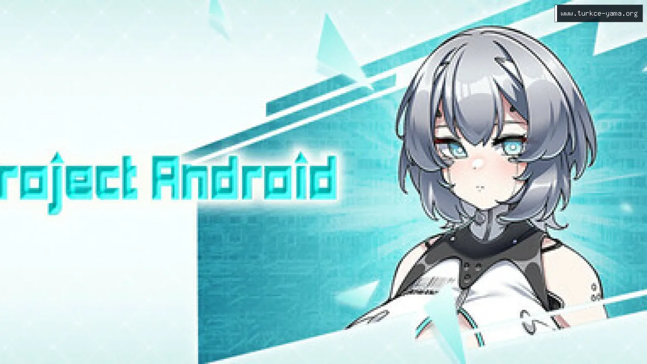 Project Android Türkçe Yama