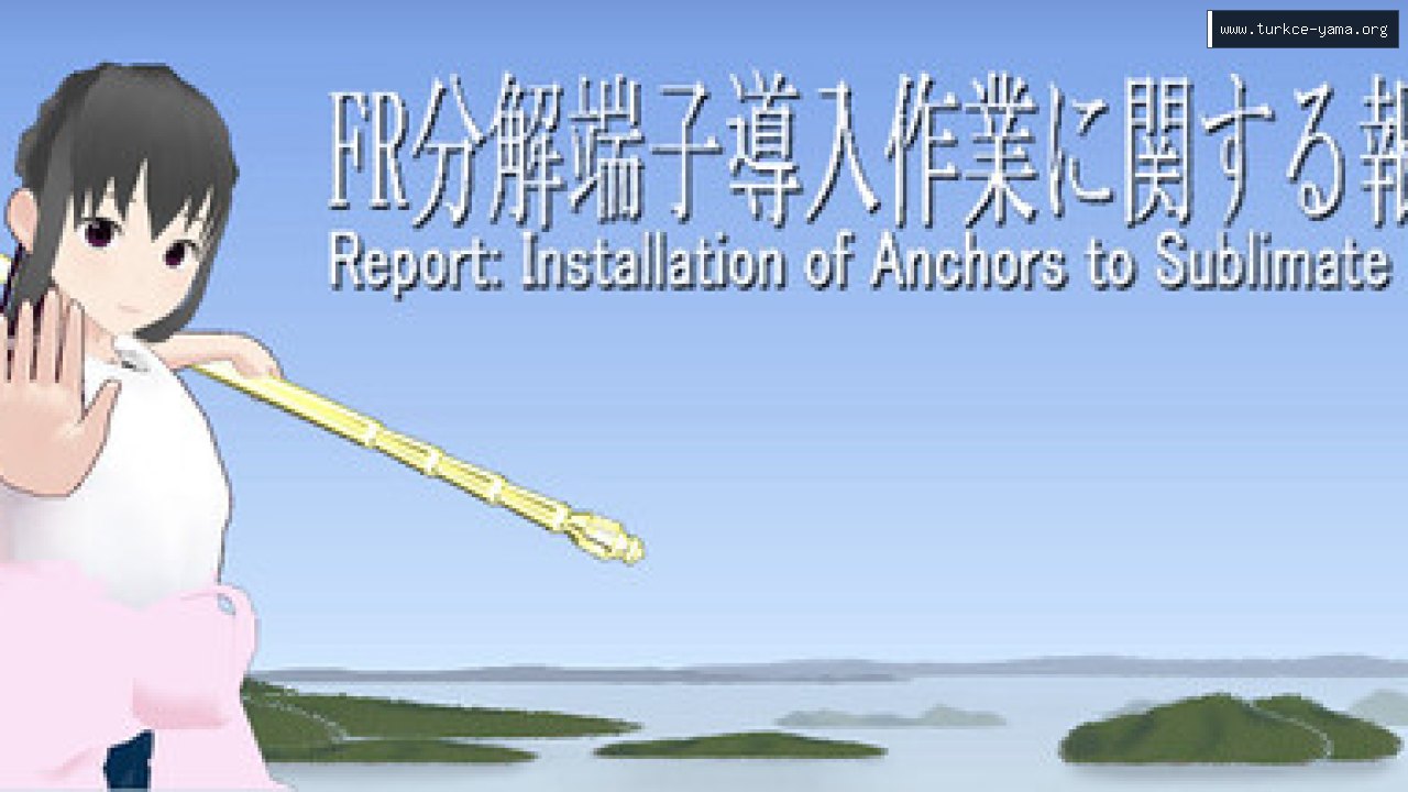Report: Installation of Anchors to Sublimate FRs Türkçe Yama kapak görseli