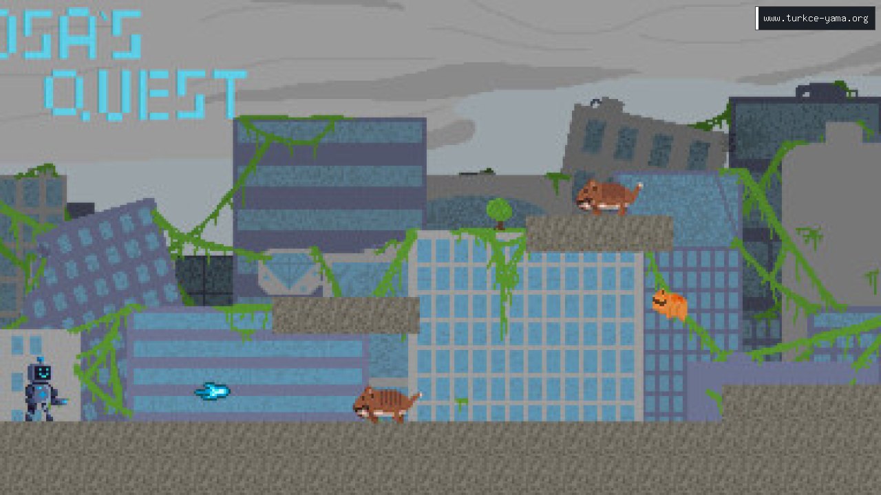 ROSA's Quest Türkçe Yama kapak görseli