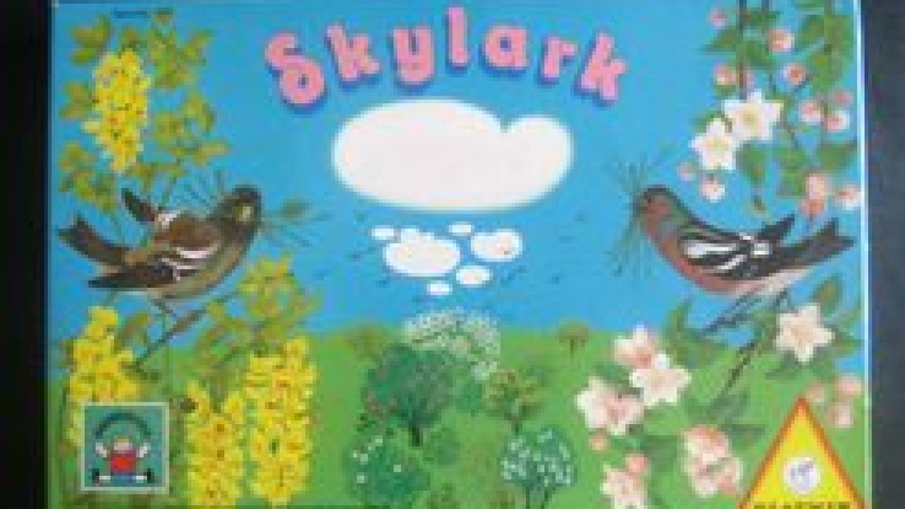 Skylark Türkçe Yama kapak görseli
