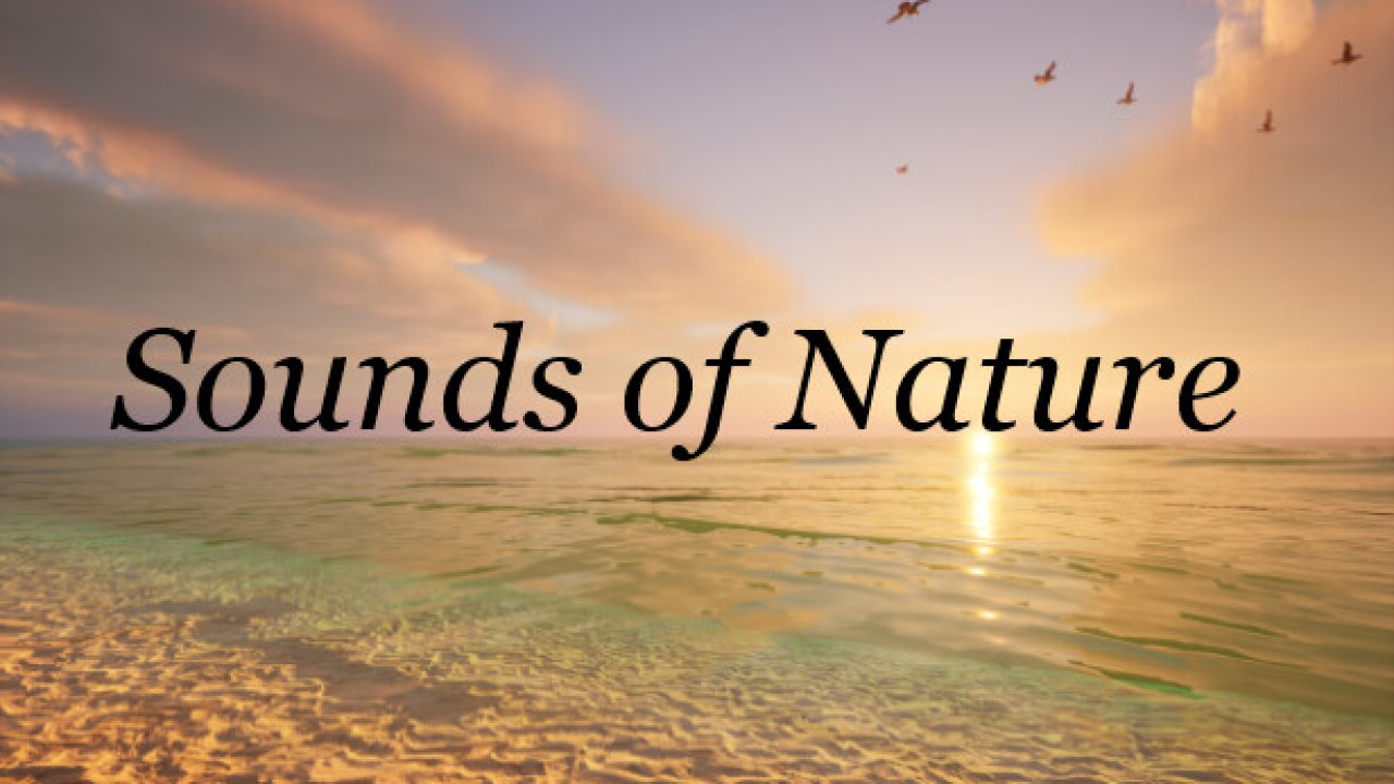 Sounds of Nature Türkçe Yama kapak görseli