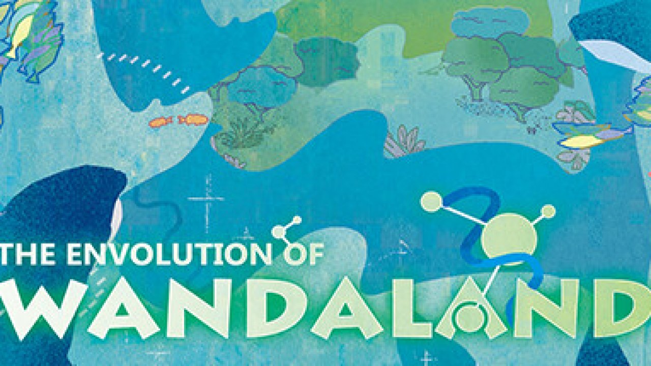 The Envolution Of Wandaland Türkçe Yama kapak görseli