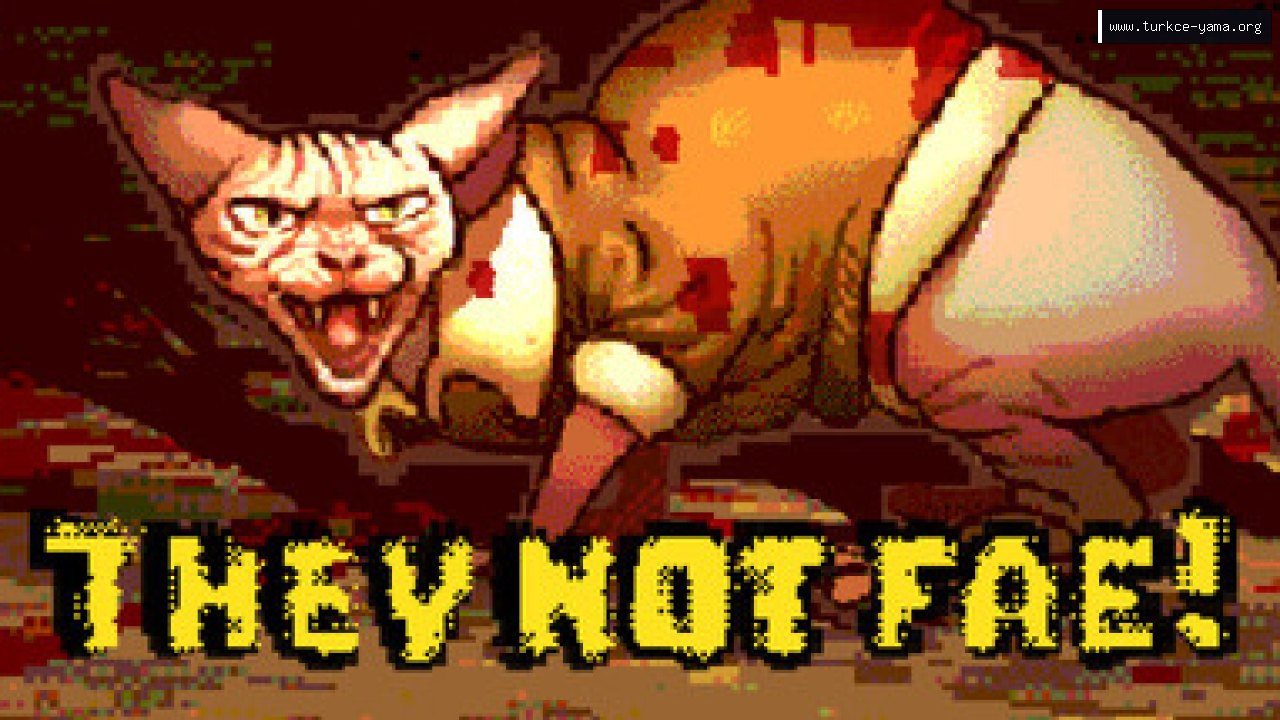 They Not Fae! Türkçe Yama kapak görseli