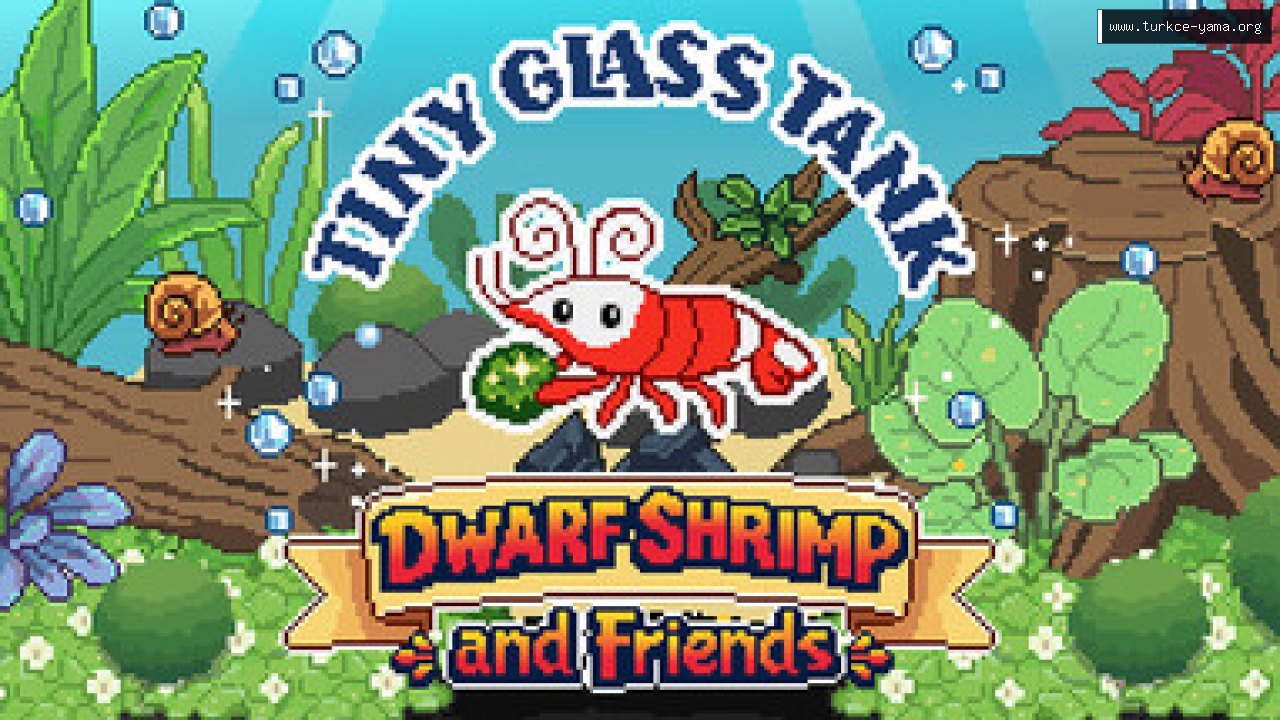 Tiny Glass Tank: Dwarf Shrimp and Friends Türkçe Yama kapak görseli