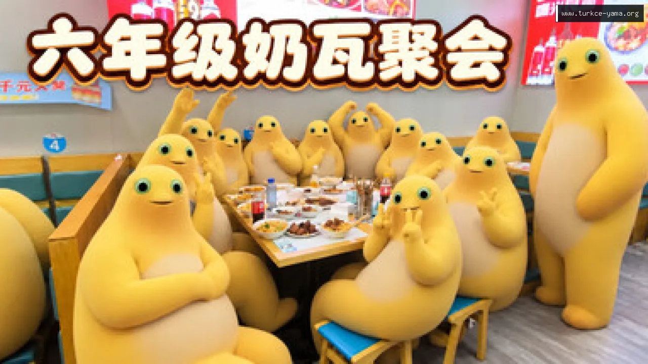 六年级奶瓦聚会 Türkçe Yama