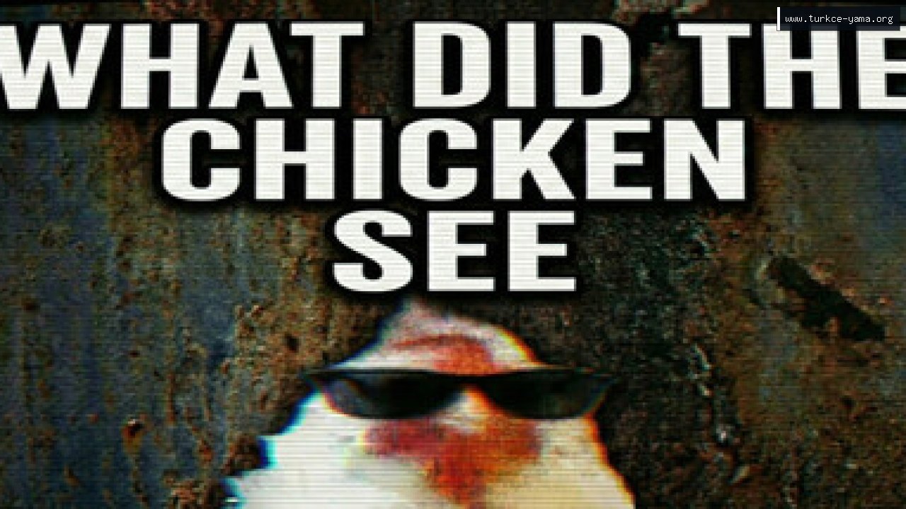 what did the chicken see Türkçe Yama kapak görseli