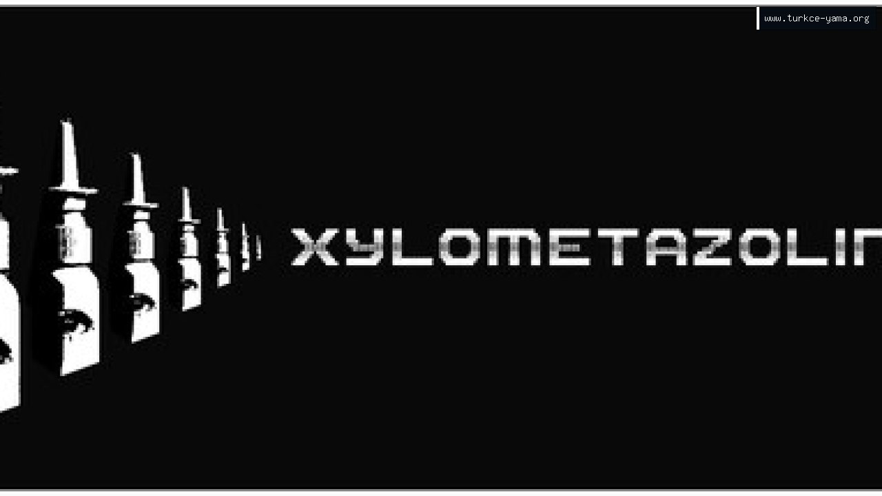 XYLOMETAZOLINE Türkçe Yama kapak görseli