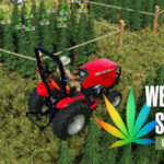 Weed Farmer Simulator Türkçe Yama