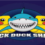 Duck Duck Shark Türkçe Yama