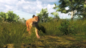 theHunter Classic Türkçe Yama 4 theHunter Classic Türkçe Yama 4